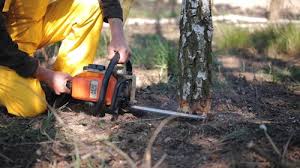 Best Lawn Pest Prevention  in Urbana, OH