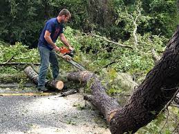 Best Seasonal Cleanup (Spring/Fall)  in Urbana, OH